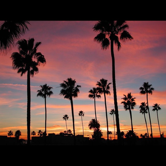 Meet your Posher, Cassandra - Picture 1 of 1